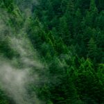 日本のGX（グリーントランスフォーメーション）戦略に関するレポート